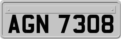 AGN7308