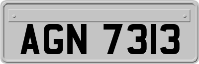 AGN7313