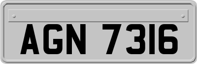 AGN7316