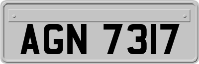 AGN7317