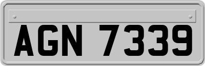 AGN7339