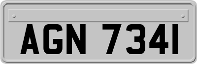 AGN7341