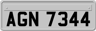 AGN7344
