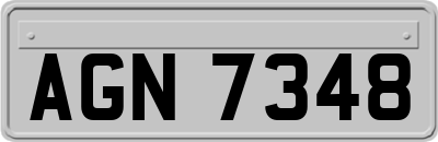 AGN7348