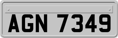 AGN7349
