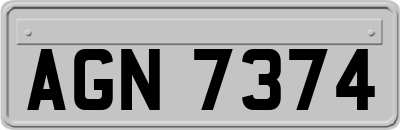 AGN7374
