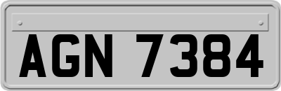 AGN7384