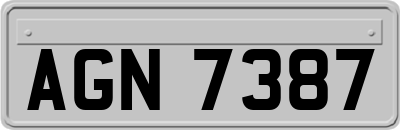 AGN7387