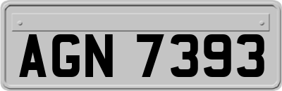 AGN7393