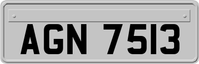 AGN7513