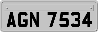 AGN7534