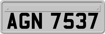 AGN7537