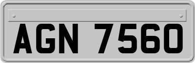 AGN7560