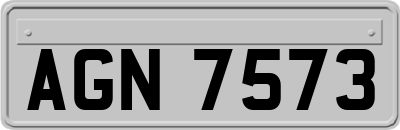 AGN7573