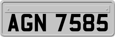 AGN7585