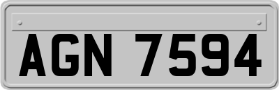 AGN7594