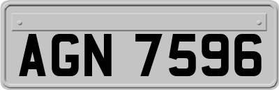 AGN7596
