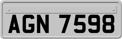 AGN7598