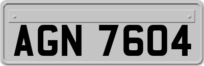 AGN7604