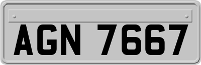 AGN7667