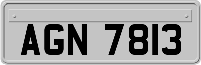 AGN7813