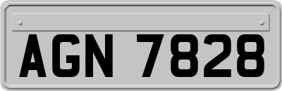 AGN7828