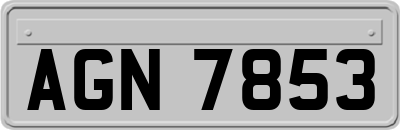 AGN7853