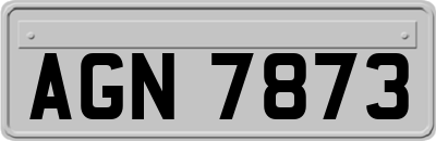 AGN7873
