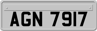 AGN7917