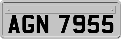 AGN7955