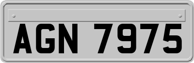 AGN7975