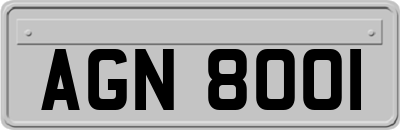 AGN8001