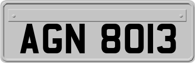 AGN8013