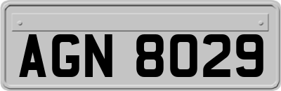 AGN8029