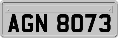 AGN8073