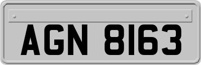 AGN8163