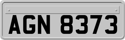 AGN8373