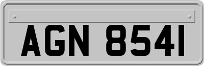 AGN8541