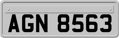AGN8563