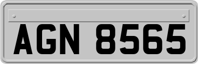 AGN8565