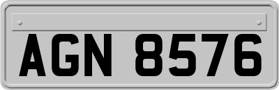 AGN8576