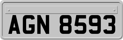 AGN8593