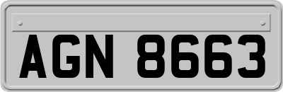 AGN8663