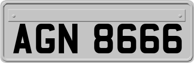 AGN8666