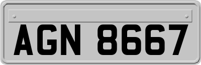 AGN8667