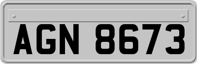 AGN8673