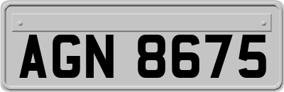 AGN8675