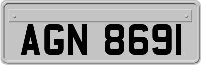 AGN8691