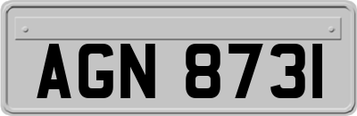 AGN8731