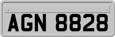 AGN8828